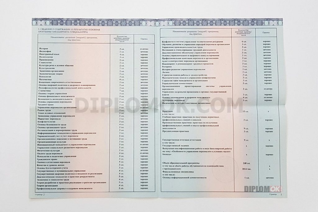 заполнение приложения к диплому нового образца 2014-2025 года